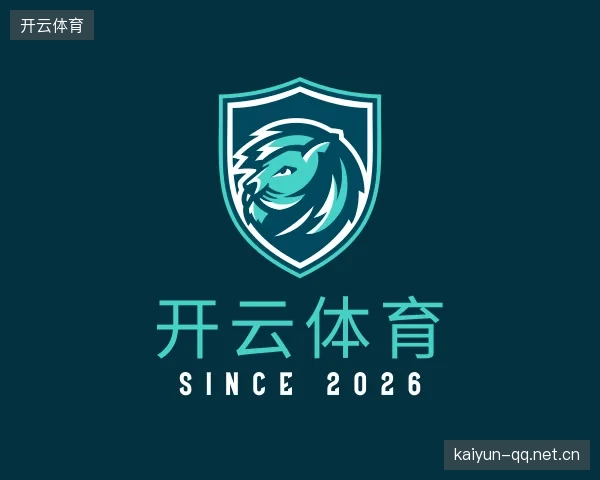 解读开云官网